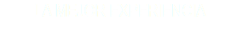 LA MEJOR EXPERIENCIA